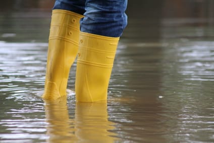 Flood Action