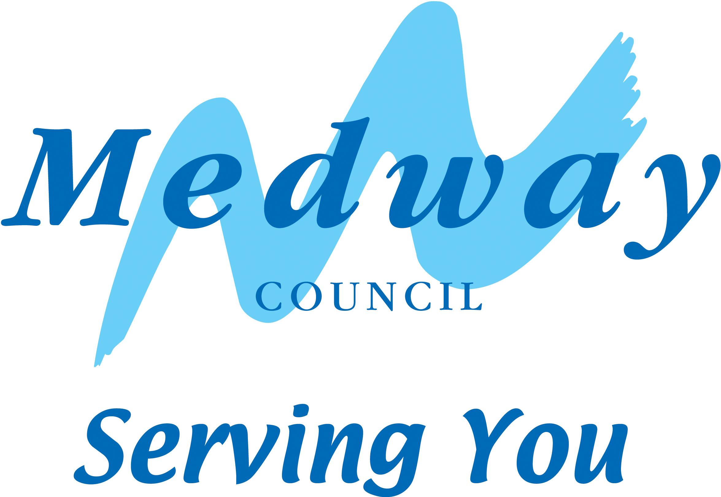 MEDCouncil colstraplineword