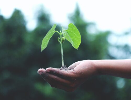 New Round of LoCASE Funding Open for Applications