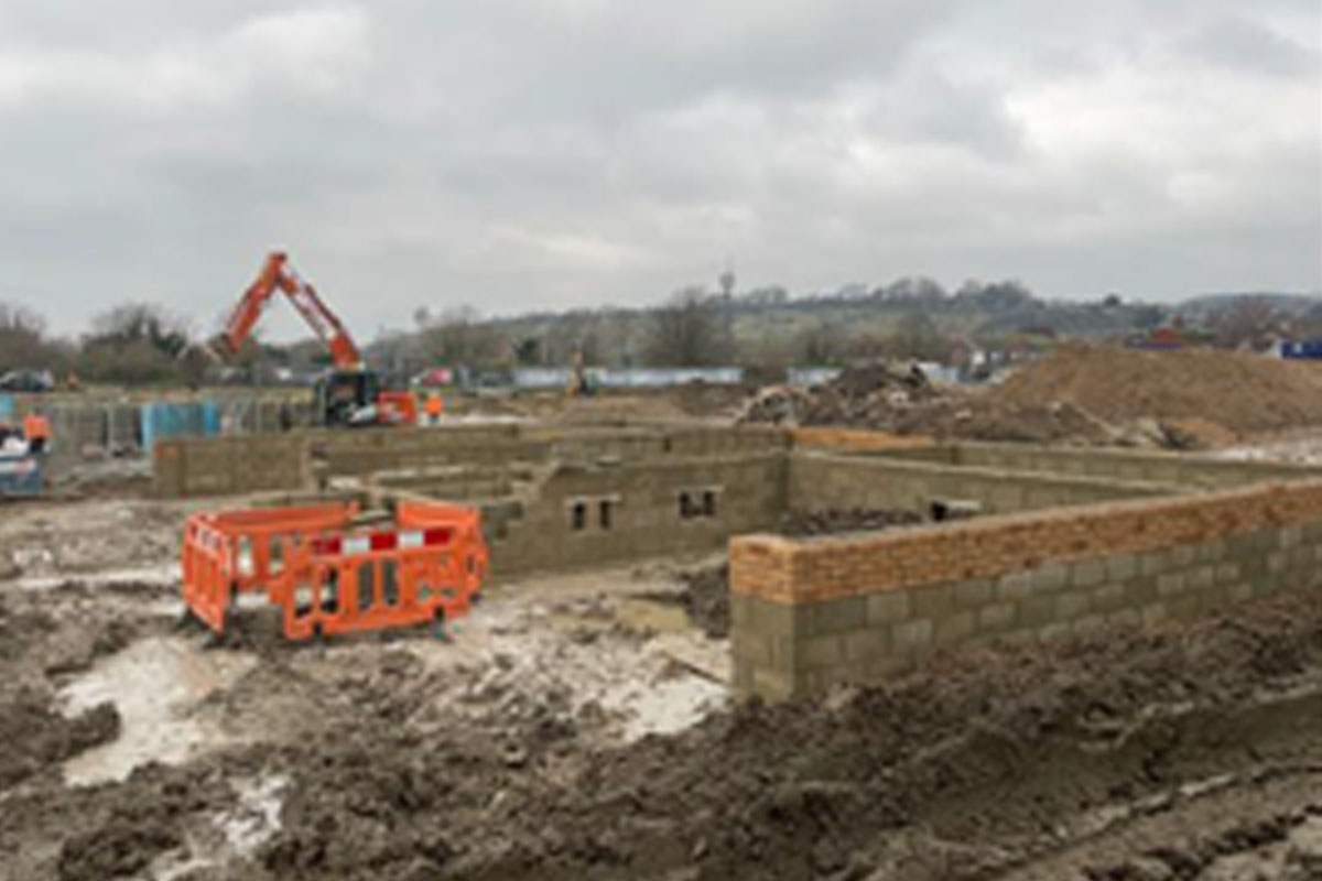 Roddy Development01